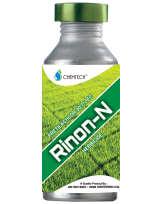 Rinon-N