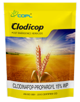 CLODICOP