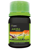 AKIRA