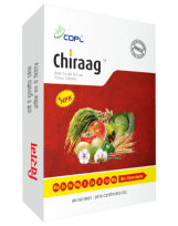 CHIRAAG 