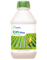 CIFT PLUS
