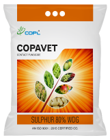 COPAVET