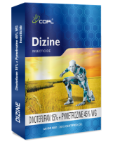 DIZINE