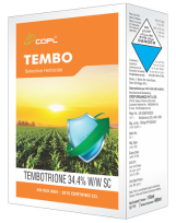 TEMBO